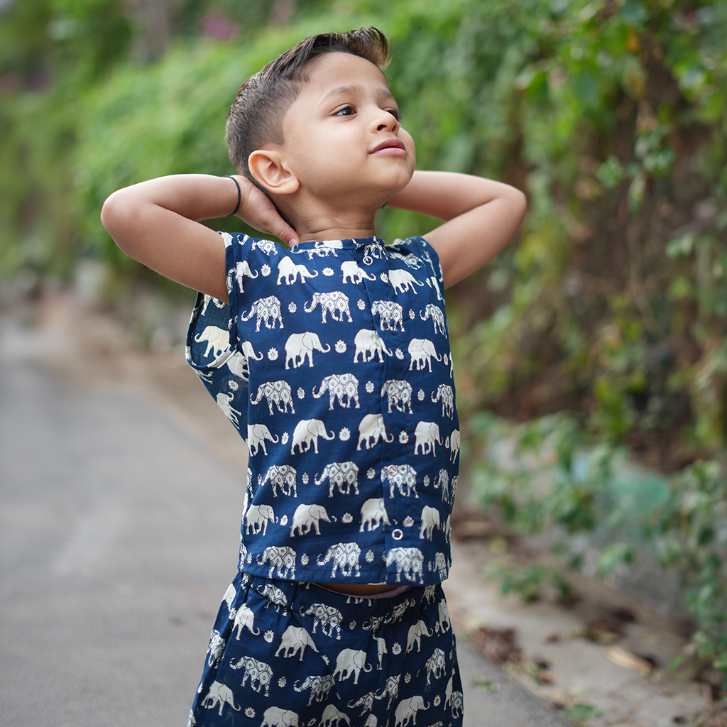 Elephant Block-Print Co-ord Set